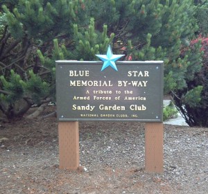 Blue-Star-Memorial-Highway-and-By-Way-Marker